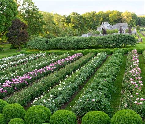 95 Best Martha Stewarts Garden Farm Images On Pinterest Martha