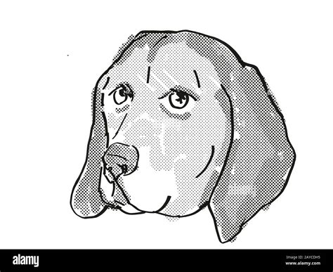 American English Coonhound Dog Breed Cartoon Retro Drawing Stock Photo