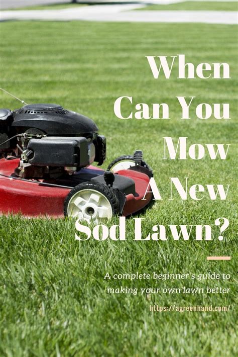Maybe you would like to learn more about one of these? When Can You Mow A New Sod Lawn - A Green Hand