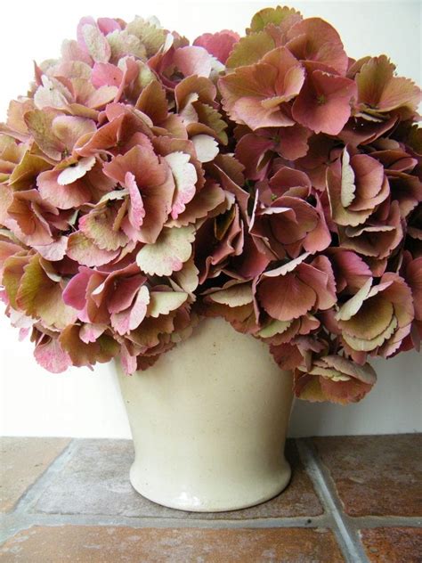 Check spelling or type a new query. Dried flowers diaries August 2013 | Dried Flower Craft