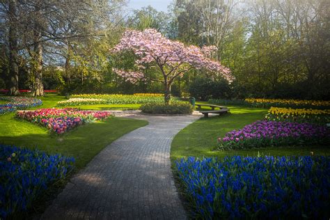 The Most Beautiful Flower Garden In The World Without People