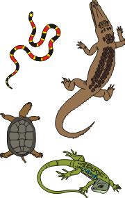 The Learning Zone: Animal I.D.