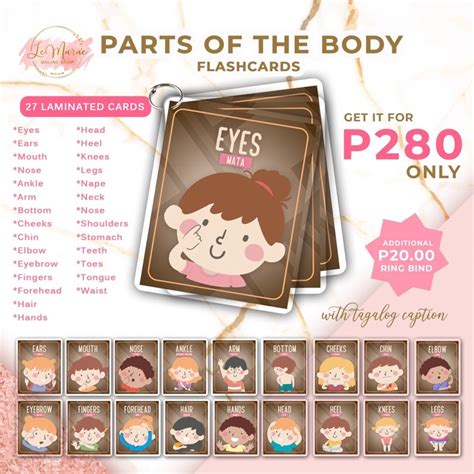Body Parts Tagalog English Complete Set Body Parts Flashcards Laminated