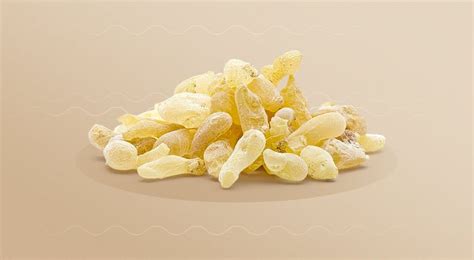 Mastic Gum What Are The Benefits And Risks Healthnews