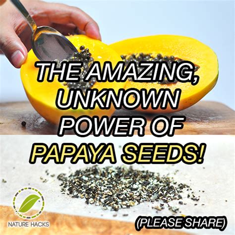 The Surprising Health Benefits Of Papaya Seeds No More Parasites