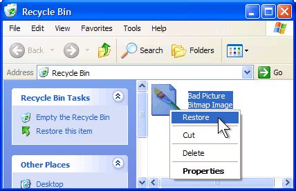 Recover deleted files after recycle bin was empty. Restore a file from the Recycle Bin - DataBackNow Resource ...