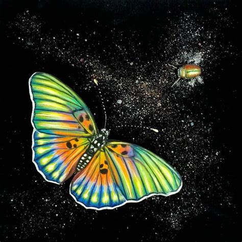 Cosmic Stardust Space Butterfly And Beetle 3d Hand Drawn Beautiful