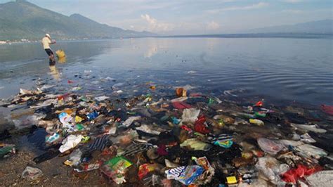 Bahaya Sampah Plastik Bagi Ekosistem Laut Info Dunia
