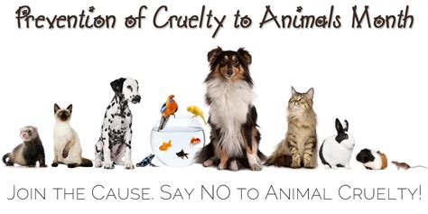 April Prevention Of Cruelty To Animals Month Kiringieme