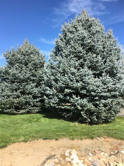 We did not find results for: Pin on Geographical Area - Boise, Idaho (My Own Pictures)