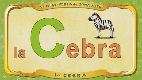 La Multipedia De Animales Letra C La Cebra Youtube