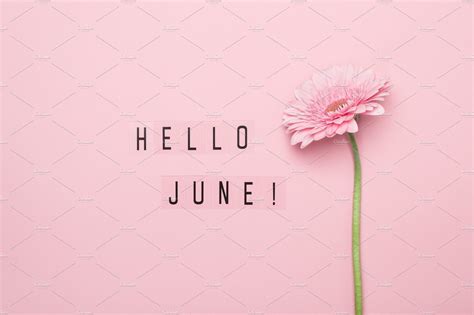 Hello June Text And Pink Gerbera Flo By Colnihko On Creativemarket