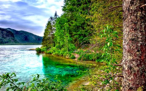 Nature Landscape Tree River Mountain Pine Forest Mountains, Cloudy Sky Hd Desktop Wallpaper ...