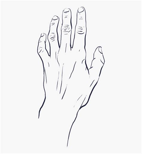 Hands Reaching Up Drawing