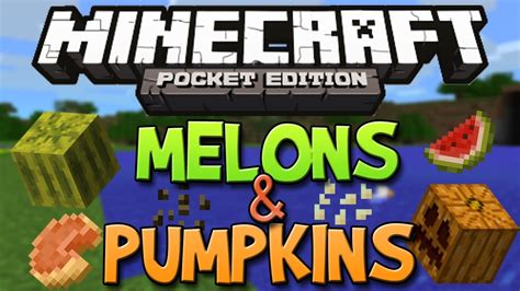 Featured in the perfect pie. How To Get Pumpkins & Melons In Minecraft Pocket Edition ...