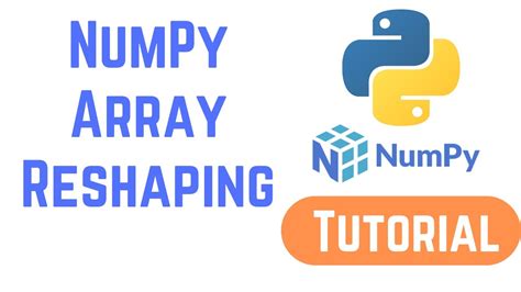 Python Numpy Tutorial For Beginners Numpy Array Reshaping Youtube