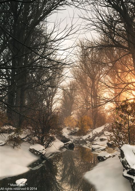 Xfrog | Image of the Day | Winter Stream