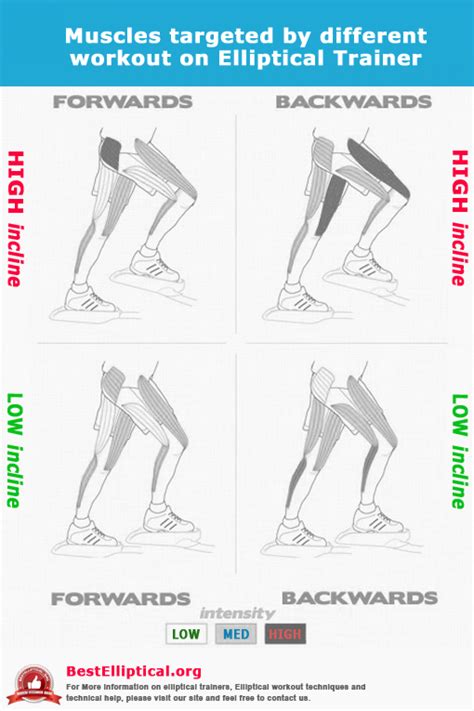Ellipticals also offer a full body workout, as you engage the handlebars with your upper body, and use your legs to push against the footplates. Mucsles targets on different intensity on Elliptical ...