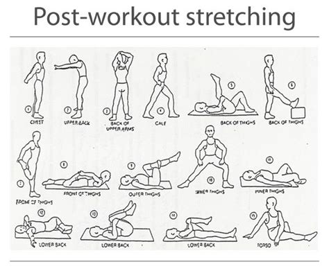 Enter downloadable pdf guide listing the back exercises. What are the best ways to avoid initial muscle soreness after workout? - Quora