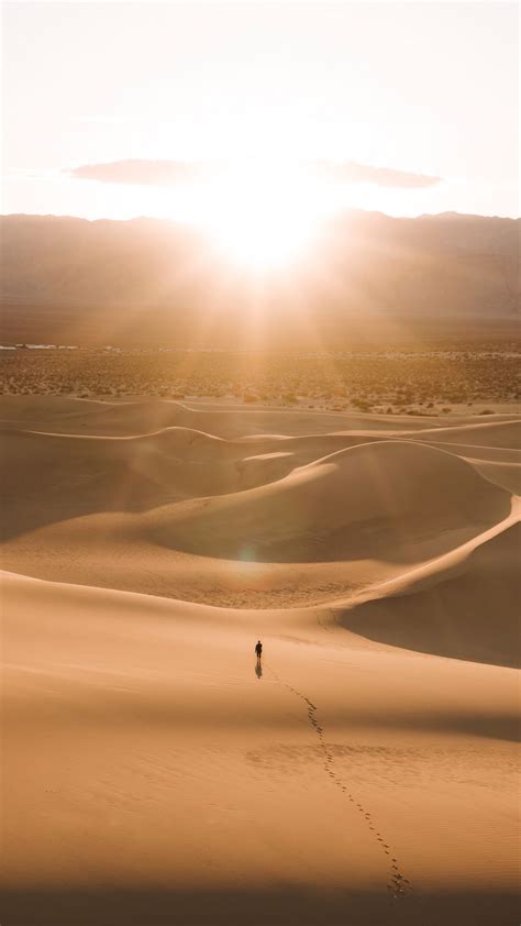 Download Wallpaper 1080x1920 Silhouette Desert Dunes Sand Rays