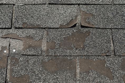 Granule Loss On Shingles How To Protect Your Roof
