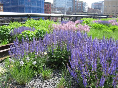 One of the most elaborate seen early in the film is the golden one worn to visit alexander the great's tomb (fig. 10 Reasons to Love the High Line in NYC - Everett Potter's ...