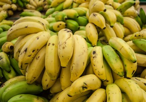 Genetically Modified ‘super Banana To Be Tested On Americans