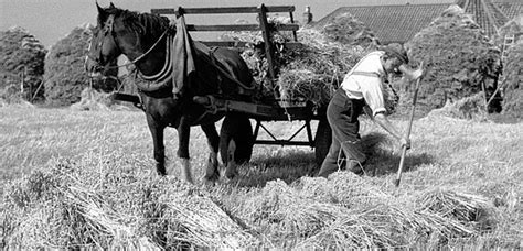 Shop.alwaysreview.com has been visited by 1m+ users in the past month Old Fashioned Farm Fun Is Waiting For You This Saturday