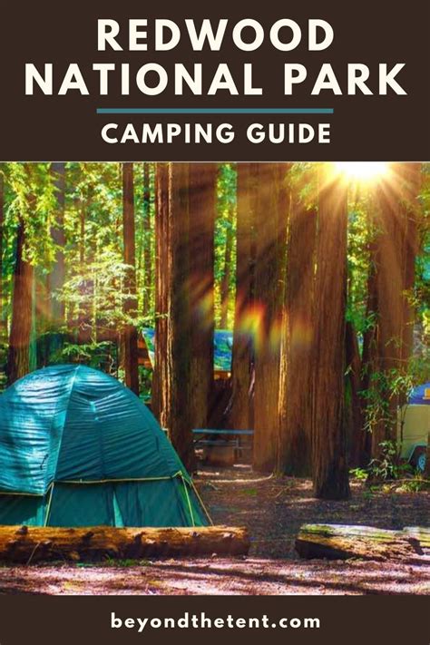 The Ultimate Guide To Camping In Redwood National Park Artofit