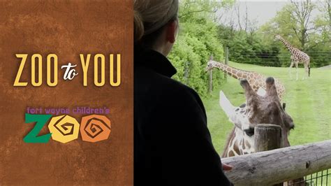 Fort Wayne Childrens Zoo Spending Time With Giraffe Youtube