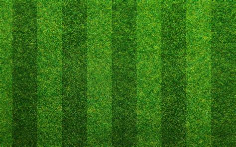 Stiped Lawn Background