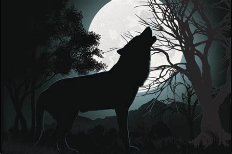 Why A Full Moon Sends Us Barking Mad Daily Star