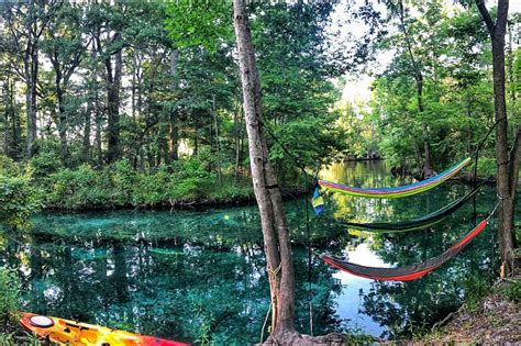 Ginnie springs river florida ginnie springs florida cave ginnie springs campsites ginnie springs rv campground ginnie springs memorial day. Pin on Real. NATURE. INDUCED. VACATION OPPORTUNITIES