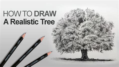 Kids, its easy to draw the image of simple tree. How to Draw a Tree (Realistic) with graphite pencil - PaintingTube