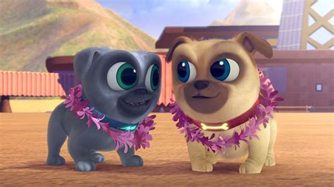 Disney Junior Estrena Nuevos Episodios De Puppy Dog Pals Y Disney Xd De