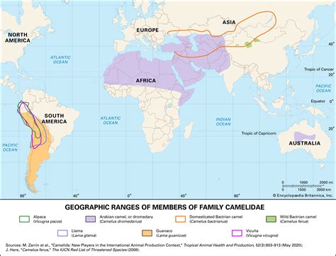 Camel Map