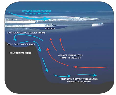 Environmentally Speaking Thermohaline Circulation
