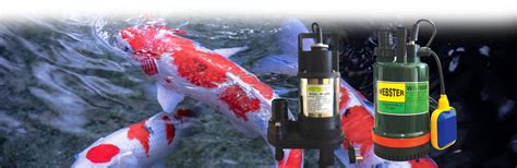Knowledgeable and experienced in managing projects and offers an. Water Pump Selangor, Dynatech Bore Hole Pump Supply Kuala ...