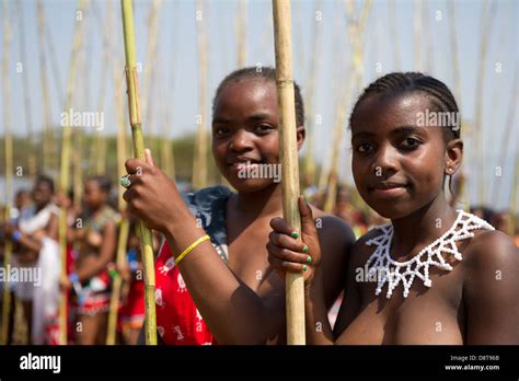 Zulu Jungfrauen Liefern Schilf Stöcke An Den König Zulu Reed Dance Im