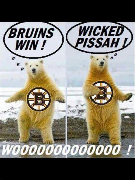 Nhl, the nhl shield, the word mark and image of the stanley cup and nhl conference. Boston Bruins - My uncle always says "wicked pissahh!" | Funny animals, Polar bear, Bear