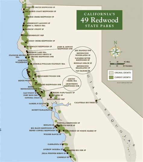 Skip Black Friday And Explore Californias Redwood State Parks For Free