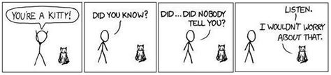 Kitty Worry By Silknor Making Xkcd Slightly Worse