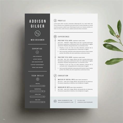 Mit dem rechnungsvorlage word download erhaltet ihr einen vordruck für eine rechnung zum selbstausfüllen mit eigenen daten zum rechnungsempfänger rechnungsvorlage word: Latex Lebenslauf Vorlage Modern Cv Elegant Lebenslauf ...