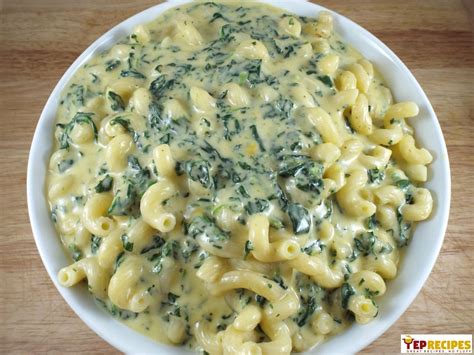 Dried short pasta, such as macaroni · 1 1/2 cups. Creamy Macaroni and Cheese with Spinach | YepRecipes.com