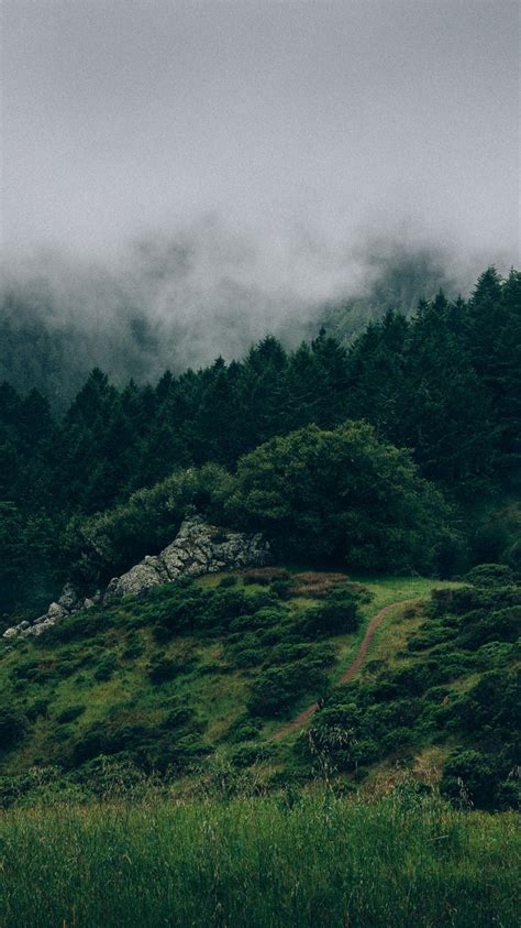 Beautiful Nature Green Forests Iphone Wallpaper Iphone Wallpapers