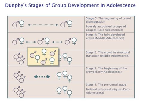 Adolescent Development Peerspeer Groupsfriendshippeer Acceptance