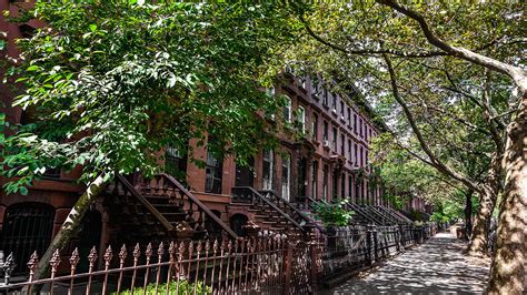 Boards are the best place to save images and video clips. NASA Explains Why You Should Live On A Tree-Lined Stree ...