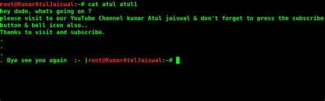10 Basic Cat Command Examples in Linux