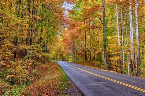 Colorful Trees Surround A Smoky Mountain Road In Autumn Stock Image