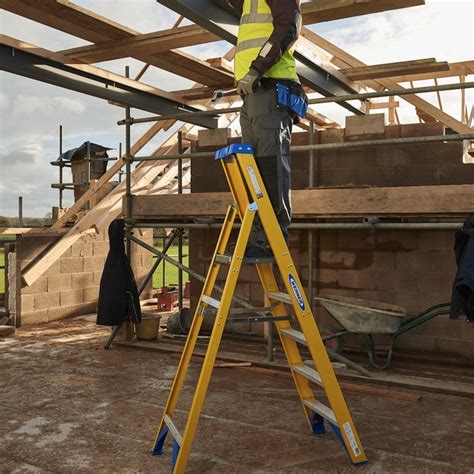 The dromedary, also known as the arabian camel, inhabits the middle east and the horn of africa. Product Test: Werner 717 Series platform step ladder ...